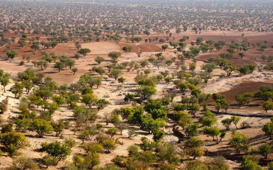 From Agadir: Sahara Desert Day Trip and Camel Ride - Argan oil and pottery cooperatives