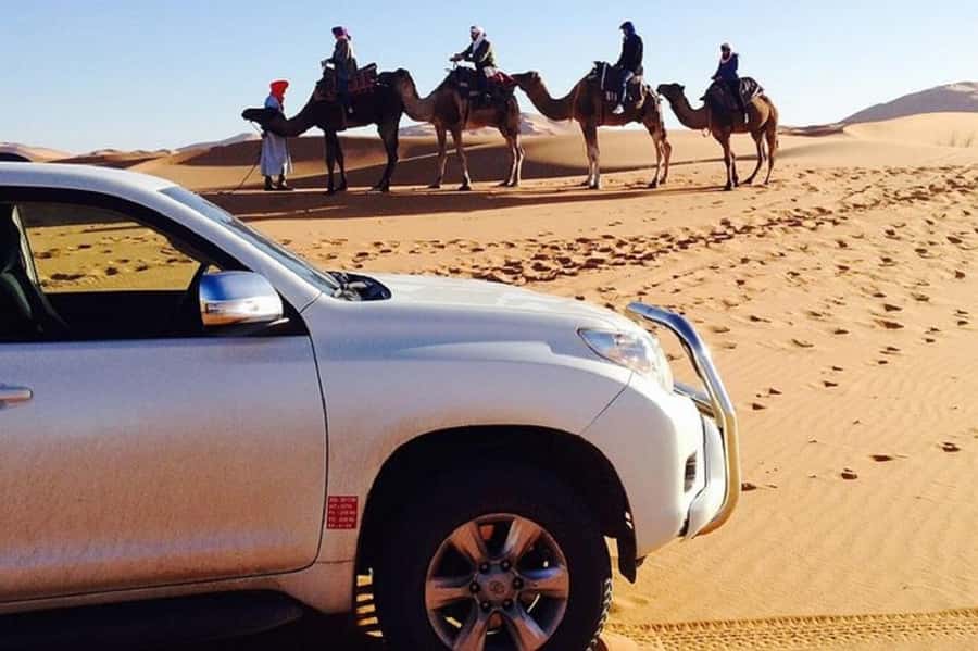 From Agadir: Souss-Massa National Park Tour with Lunch - Why this park is worth visiting from Agadir