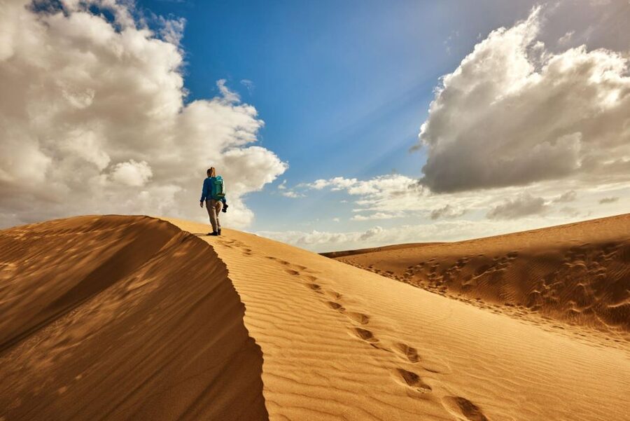 From Agadir/Taghazout: Sahara Sand Dunes with Transfer - Sunset, sea views, and the best photo moments