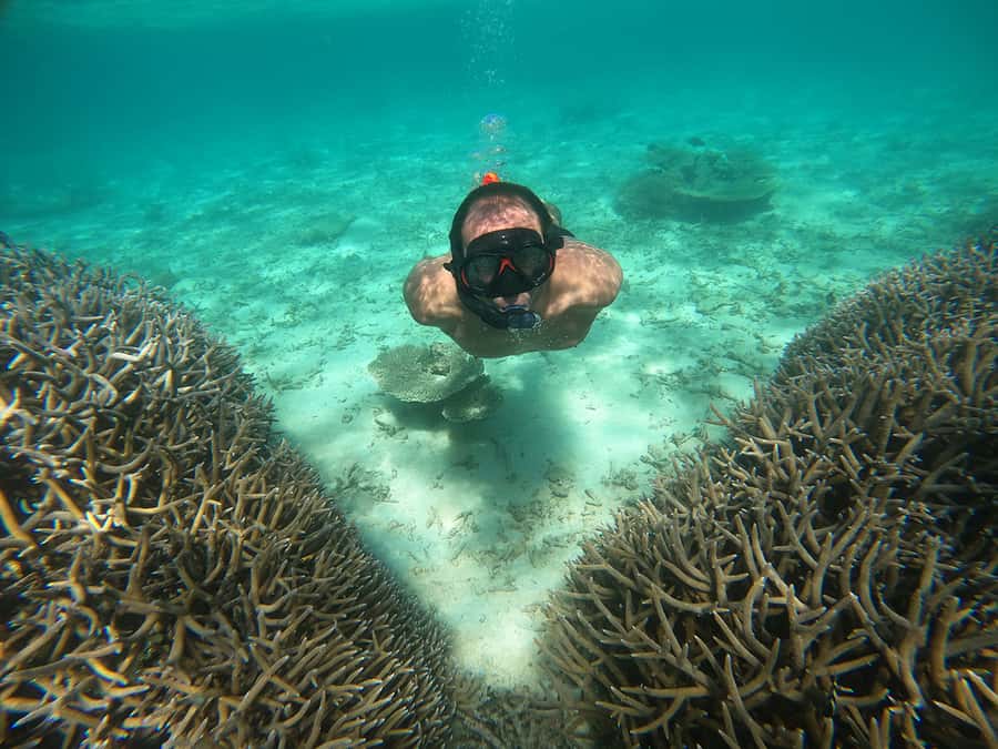 From Blue Bay: Ile aux Cerfs Speedboat Excursion with BBQ - Grand River South East and Its Watchful Monkeys