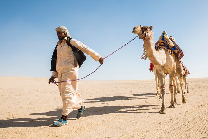 From Cairo: Desert Safari, Waterfalls, Sand boarding and Camel ride with Lunch - Waterfalls between desert and lake