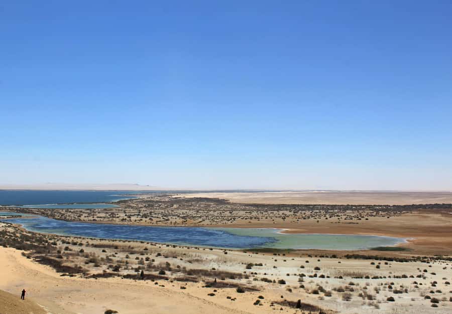 From Cairo: Full-Day Tour to El Fayoum - Wadi Al Hitan and its ancient whale fossils
