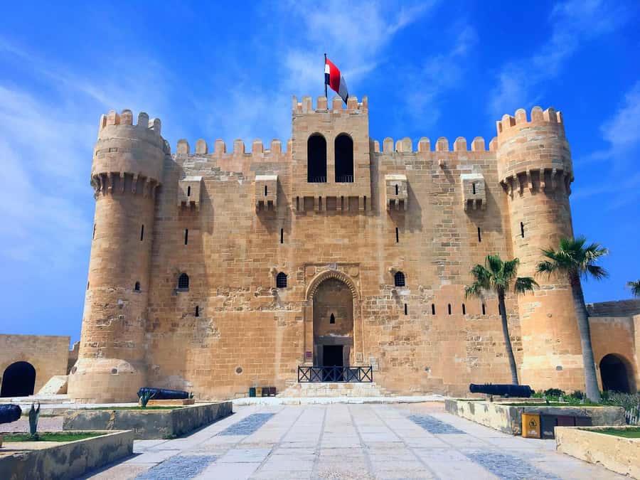 From Cairo: Private Full-Day Tour of Historical Alexandria - The Library of Alexandria, and the Friday Limitation