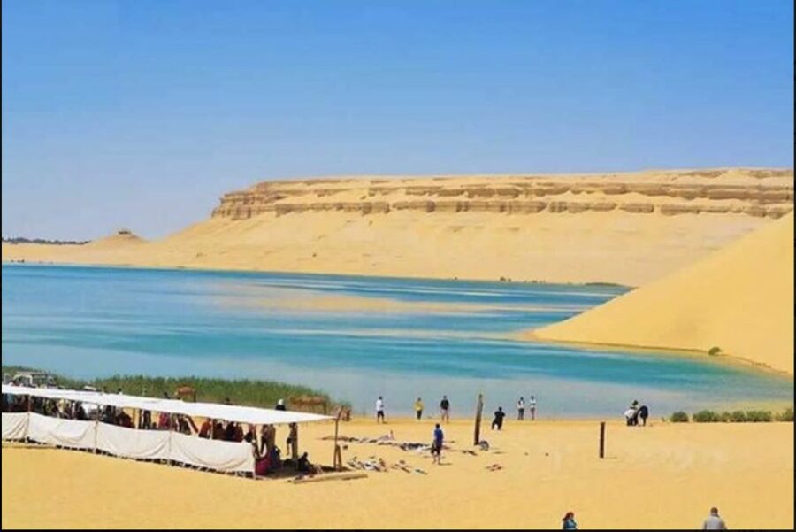 From Cairo: Whale Valley and Wadi El Rayan Waterfalls Tour - Whale Valley and the story of ancient whales