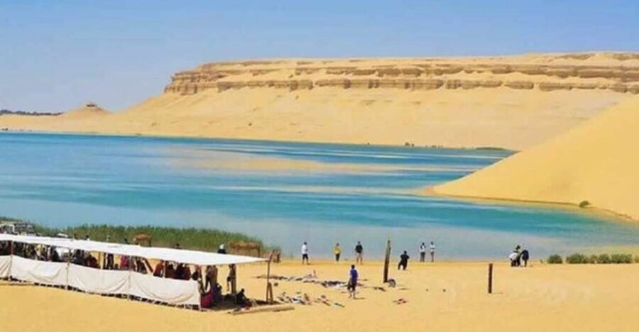 From Cairo: Whale Valley and Wadi El Rayan Waterfalls Tour - Tunis Village and the first views of Fayoum