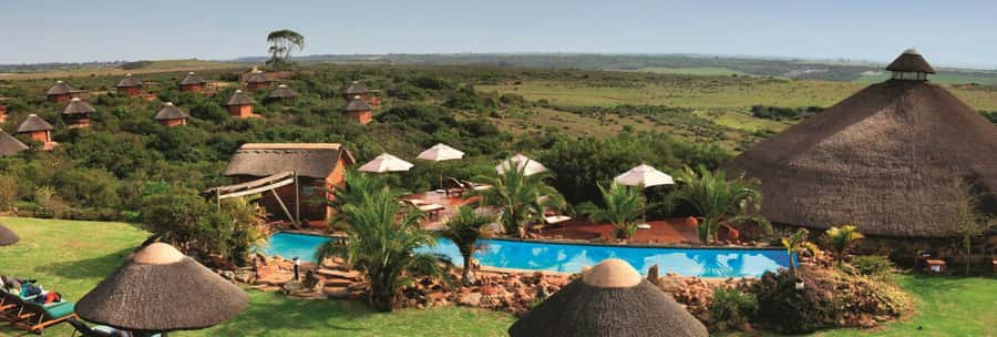 From Cape Town: 2-Day Safari at Garden Route Game Lodge - Leaving Cape Town for Hermanus and Betty’s Bay