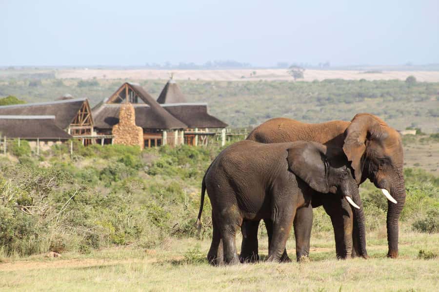From Cape Town: 2-Day Safari at Garden Route Game Lodge - Cape Agulhas and the southernmost point