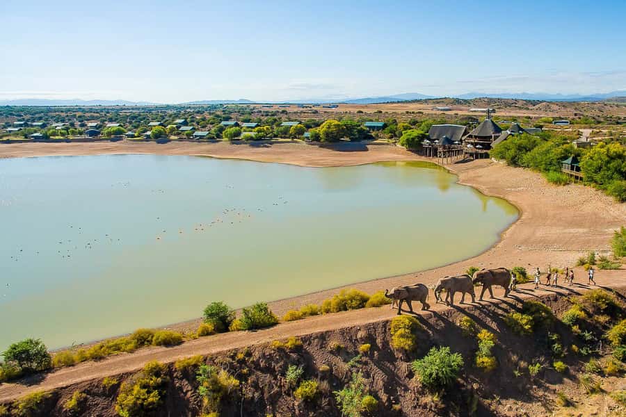 From Cape Town: 3-Day Garden Route Highlights and 4x4 Safari - Key points at a glance