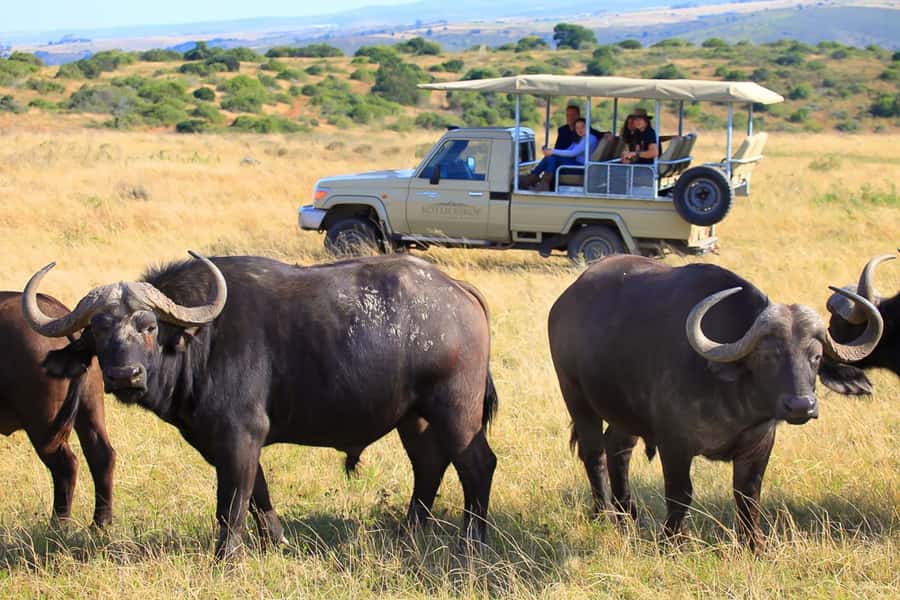 From Cape Town: 3-Day Garden Route Highlights and 4x4 Safari - What to pack for comfort