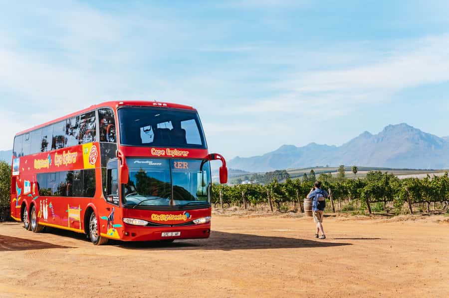 From Cape Town: 3 Regions Wine Tour with 3 Estates, 15 Wines - Why three Cape Winelands regions make sense in one day