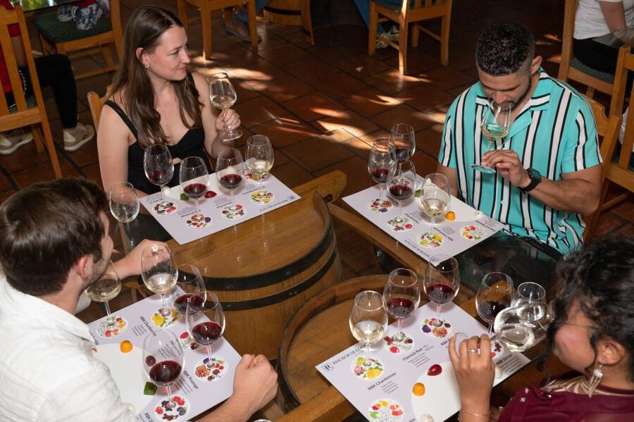 From Cape Town: 3 Regions Wine Tour with 3 Estates, 15 Wines - Crossing Helshoogte to the Franschhoek valley