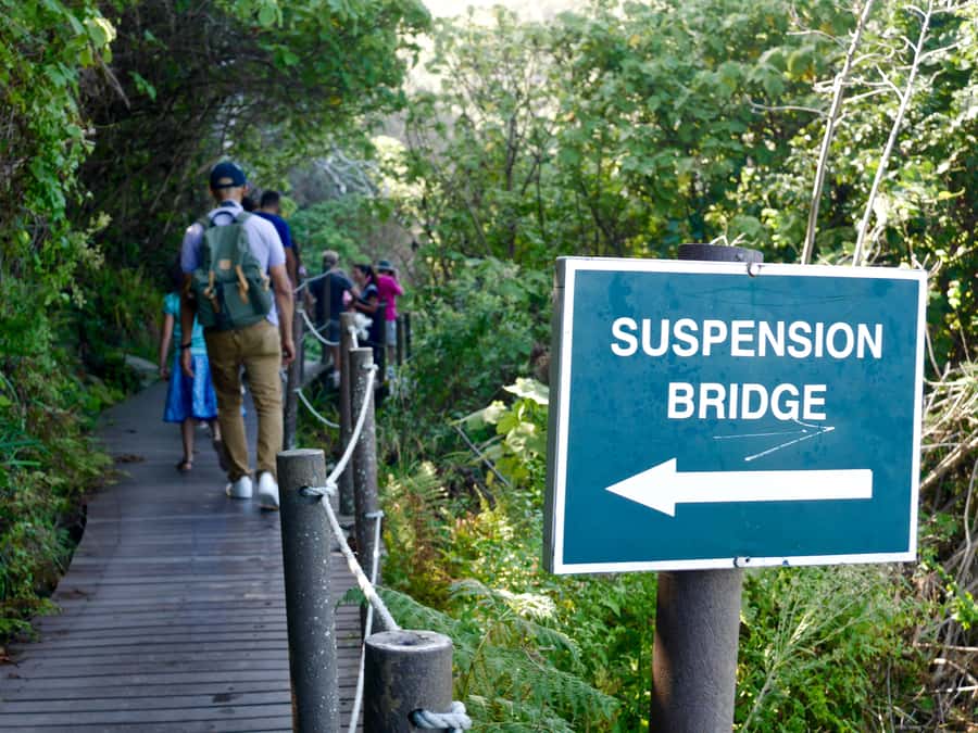 From Cape Town: 5-Day Best of Garden Route and Addo Safari - Quick points to know