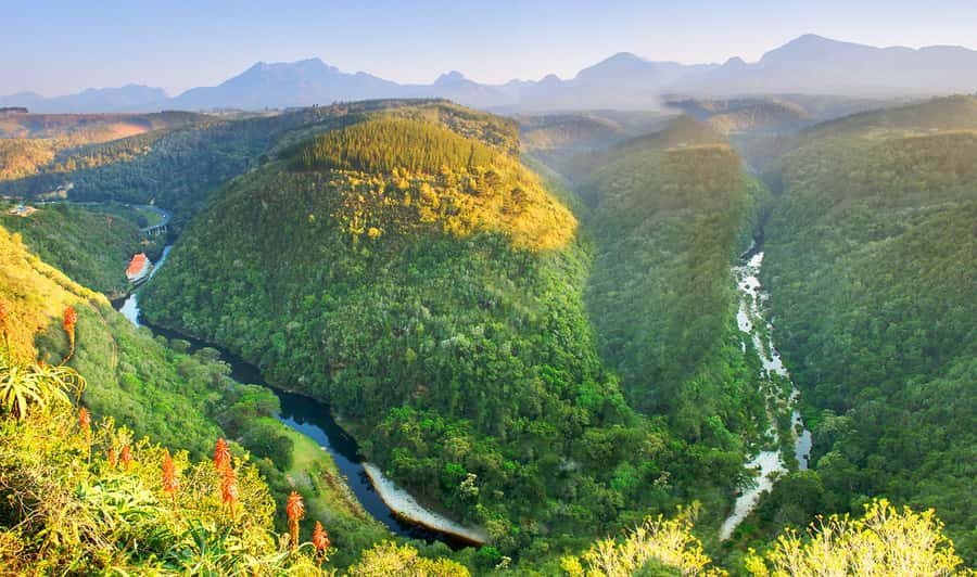 From Cape Town: 5-Day Best of Garden Route and Addo Safari - Day 5: Botlierskop and the return to Cape Town