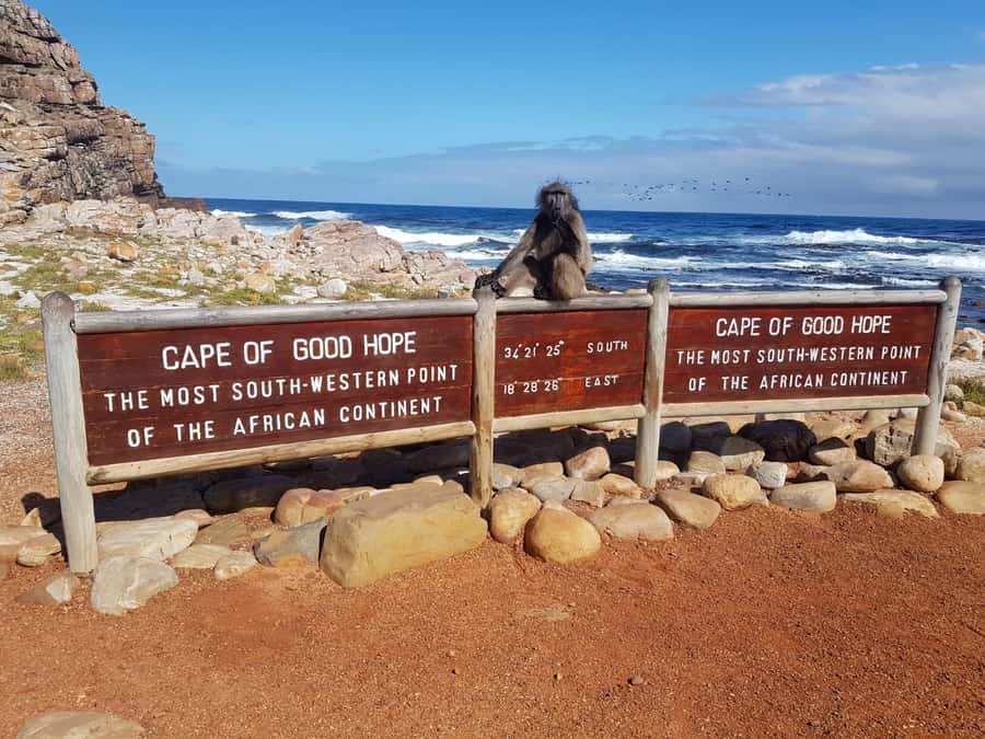 From Cape Town: Cape Point and Boulders Beach Full-Day Tour - The Cape Point to Cape of Good Hope walk