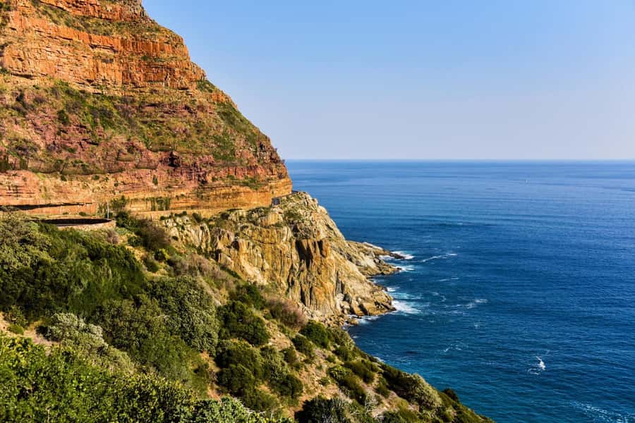 From Cape Town: Cape Point & Boulders Beach Full-Day Tour - Spending an hour with the penguins at Boulders Beach