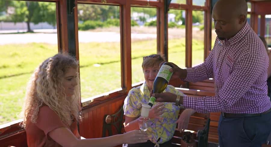 From Cape Town: Franschhoek Wine Tram Hop-on Hop-off - Who will enjoy this most
