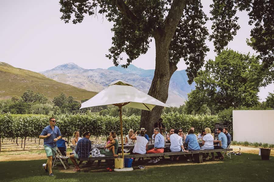 From Cape Town: Franschhoek Wine Tram Hop-on Hop-off - Should you book the Franschhoek Wine Tram?