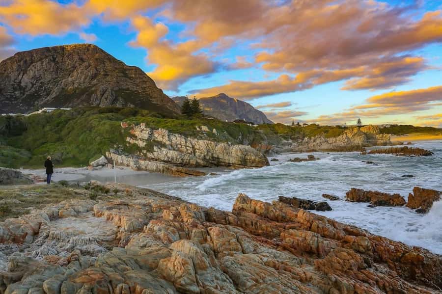From Cape Town: Full-Day Hermanus Whale Watching Tour - Who should book this Cape Town day trip?