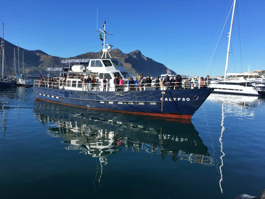 From Cape Town: Glass-Bottom Boat Seal Watching Tour - Key points before you book