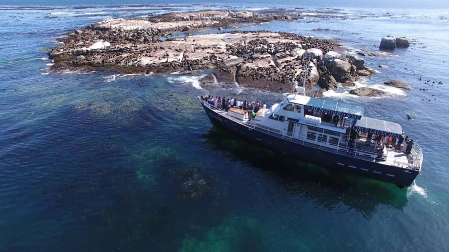 From Cape Town: Glass-Bottom Boat Seal Watching Tour - Sentinel Mountain and Chapman’s Peak