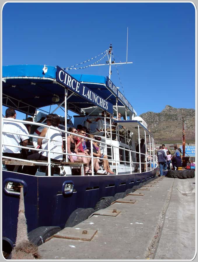 From Cape Town: Glass-Bottom Boat Seal Watching Tour - Ten minutes with the Cape Fur Seals