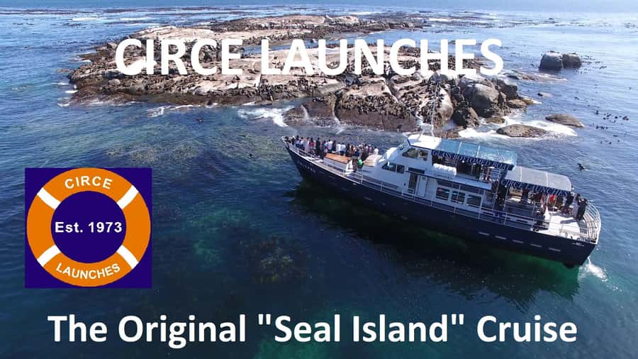 From Cape Town: Glass-Bottom Boat Seal Watching Tour - Booking, timing, and cancellation
