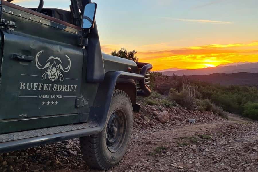From Cape Town: South African Wildlife and Safari 2-Day Tour - Botlierskop: your best chance for big animals