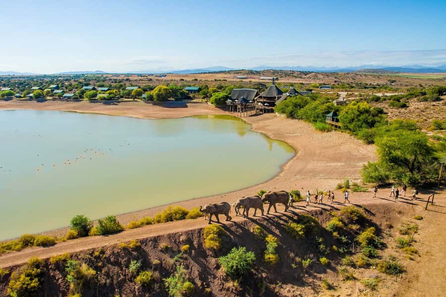 From Cape Town: South African Wildlife and Safari 2-Day Tour - Buffelsdrift asks you to look closer