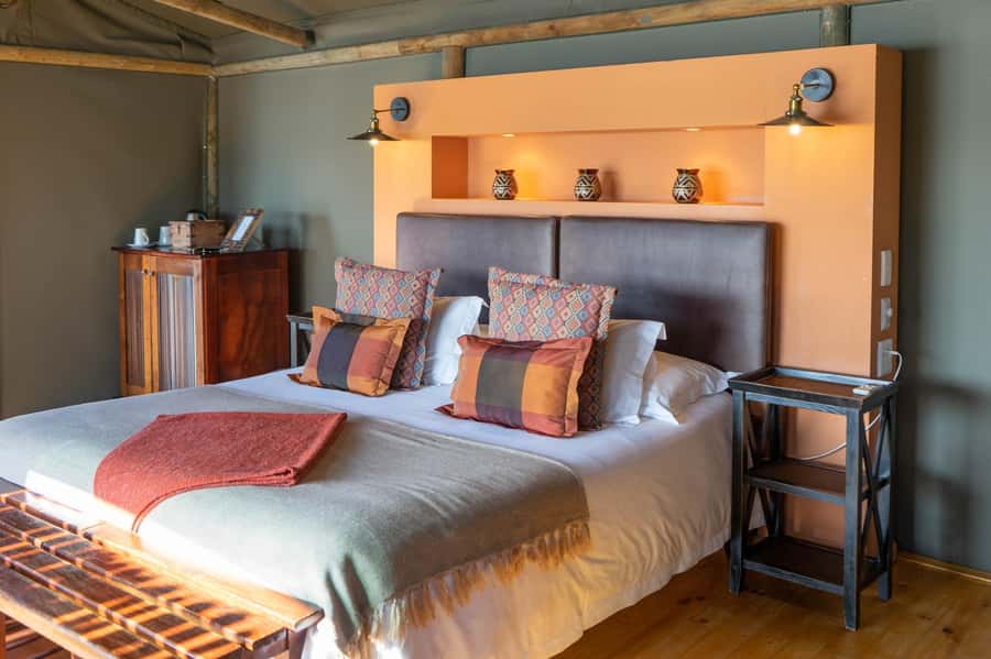 From Cape Town: South African Wildlife and Safari 2-Day Tour - Should you pay for the elephant observation?