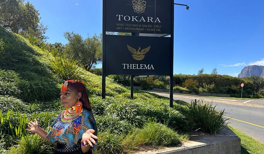 From Cape Town: Stellenbosch & Franschhoek Wine Tasting Tour - The Pace, Transport, and Drinking Practicalities