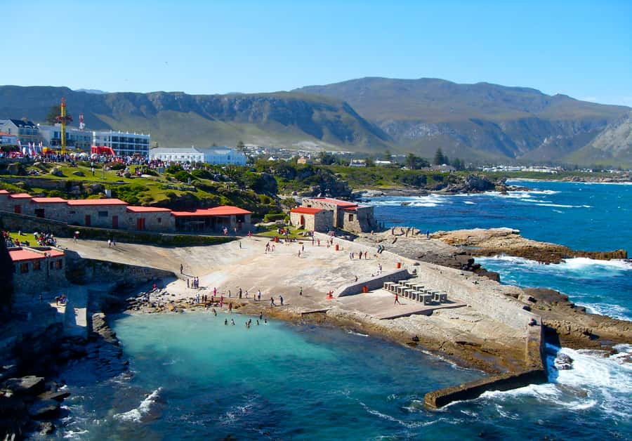 From Cape Town: Whale Watching Tour in Hermanus and Gansbaai - Betty’s Bay offers a choice of penguins or plants