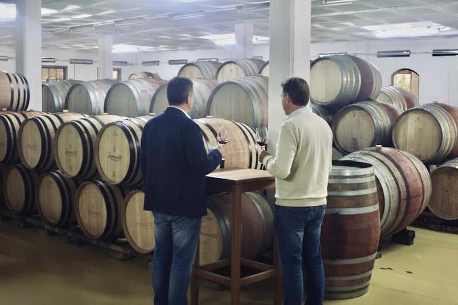 From Cape Town: Winelands Full Day Tour and Wine Tasting - Who should book this day out