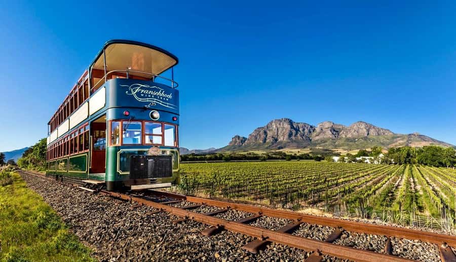 From Cape Town: Winelands Full Day Tour and Wine Tasting - The road to Stellenbosch and the first tastings