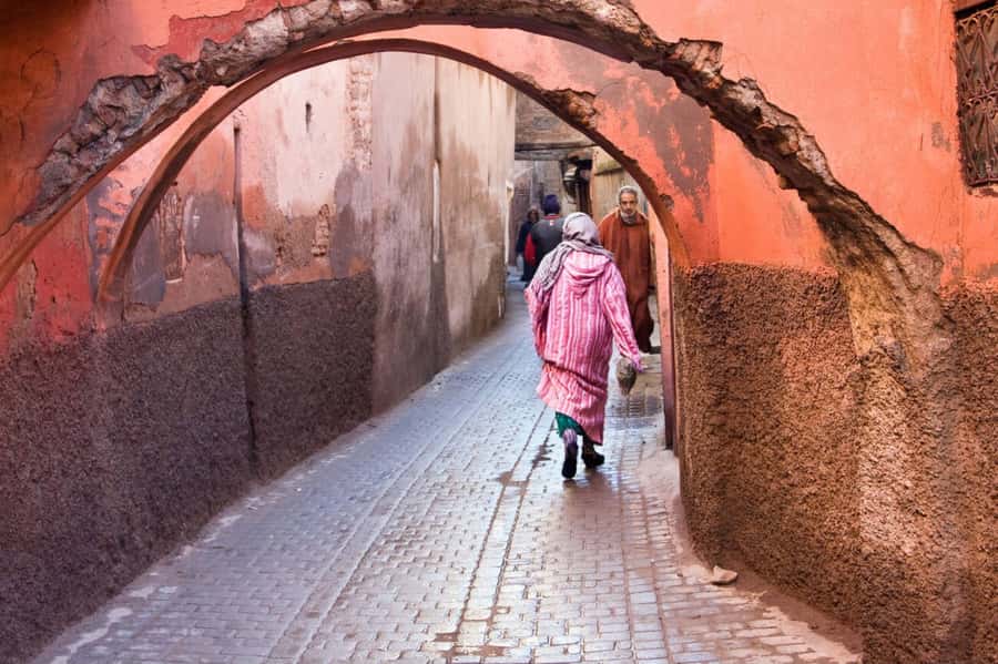 From Casablanca: Day Trip to Marrakech with Camel Ride - Bahia Palace and the Mellah