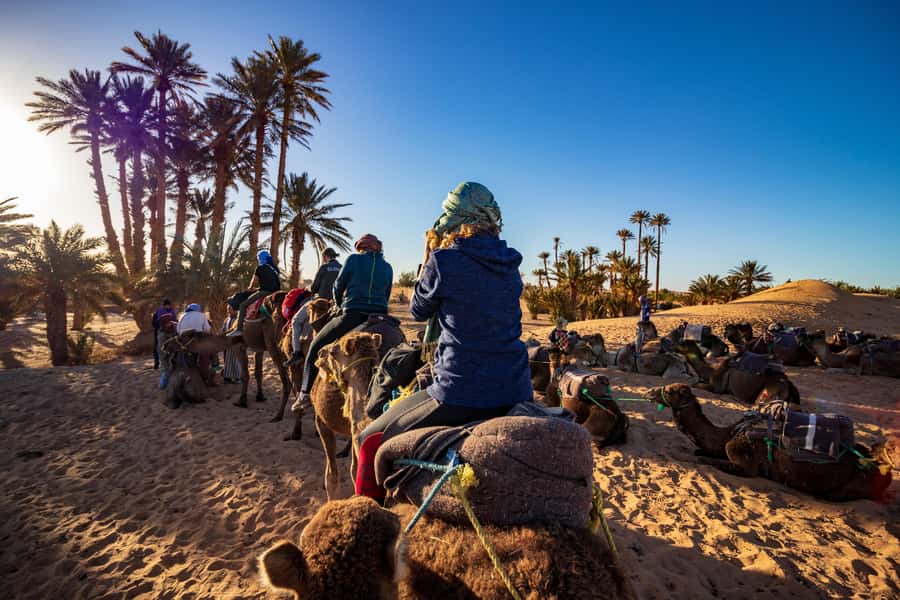 From Casablanca: Day Trip to Marrakech with Camel Ride - Jemaa el Fnaa at the heart of the day