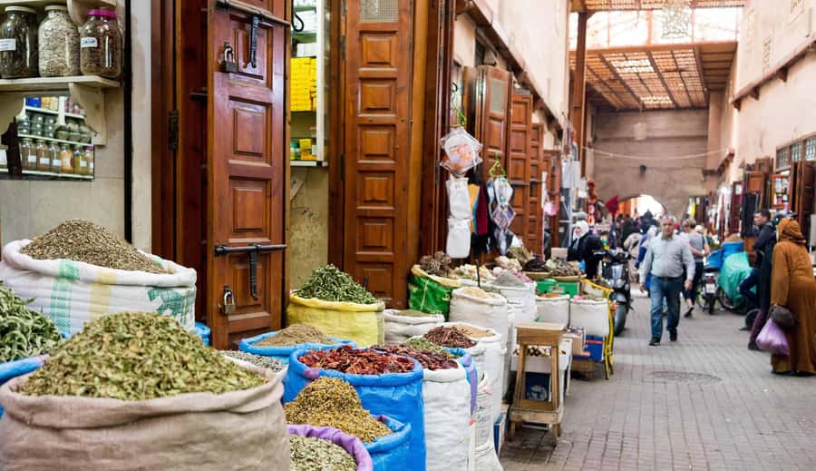 From Casablanca: Marrakech Guided Day Trip with Camel Ride - Djemaa el-Fna: Marrakech in public