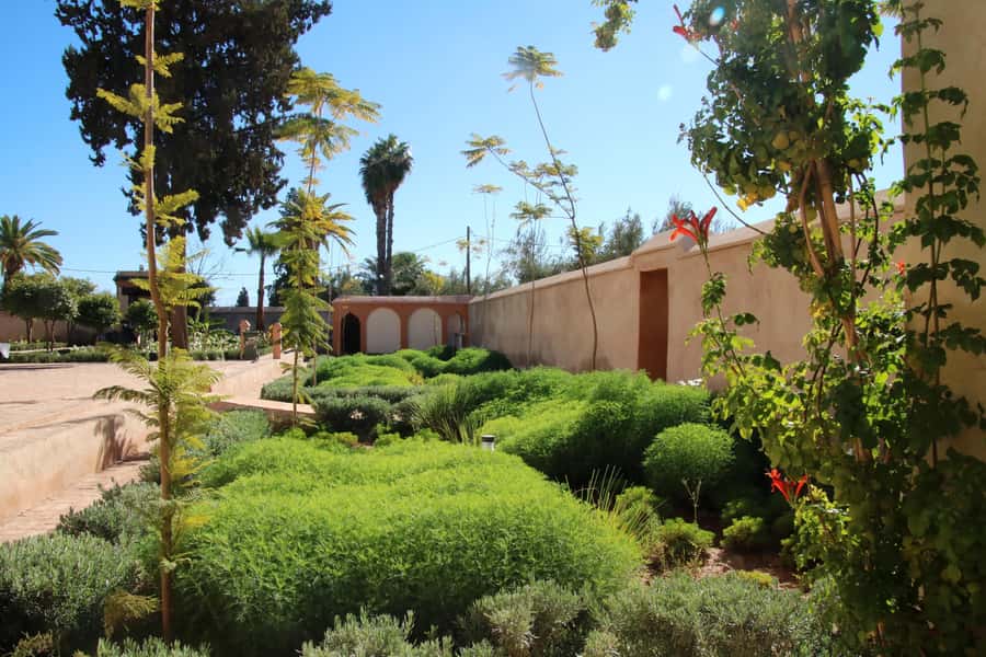 From Casablanca: Marrakech Guided Day Trip with Camel Ride - Menara Gardens and the Atlas Mountain view