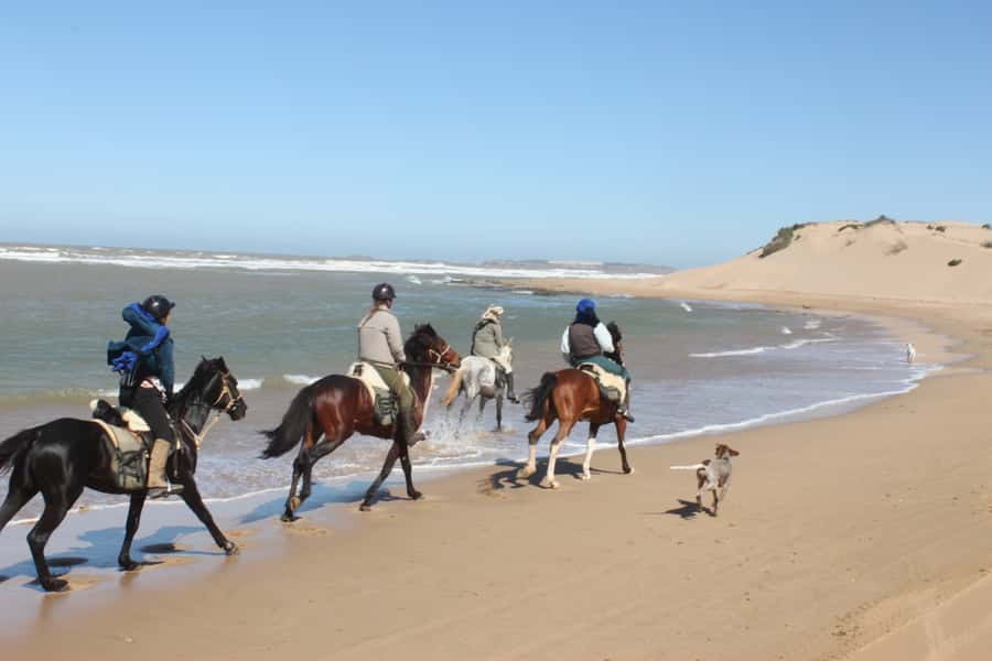 From Essaouira: 1-Hour Horse Ride - From Bab Marrakech to Ranch de Diabat
