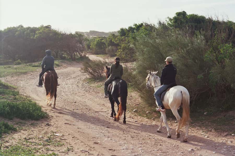 From Essaouira: 1-Hour Horse Ride - Following the river and the old sultan’s palace