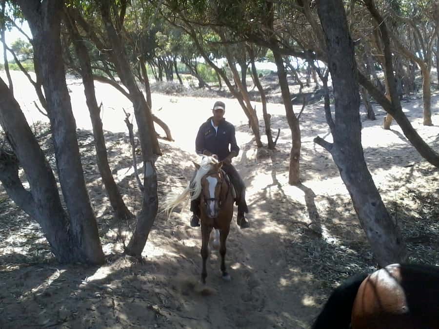 From Essaouira: 1-Hour Horse Ride - How the guides handle different riding levels