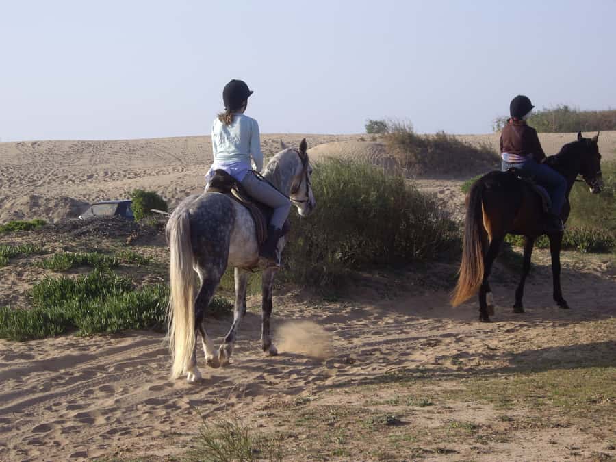 From Essaouira: 1-Hour Horse Ride - Who should book this ride?