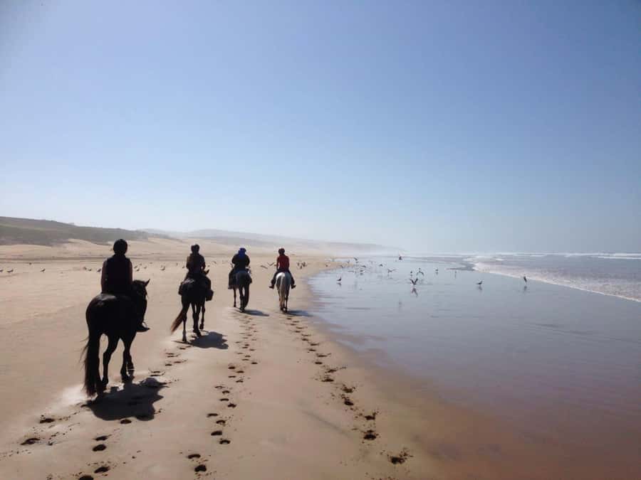 From Essaouira: 1-Hour Horse Ride - Meeting the horses and getting ready