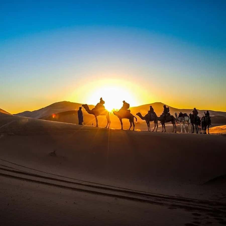 From Fes: 2-Day Luxury Desert Tour to Marrakech & Back Fez - Key points before you book