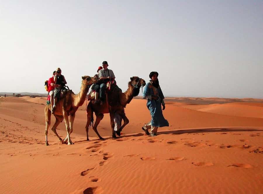 From Fes: 2-Day Luxury Desert Tour to Marrakech & Back Fez - Cedar forests, monkeys, and the Middle Atlas