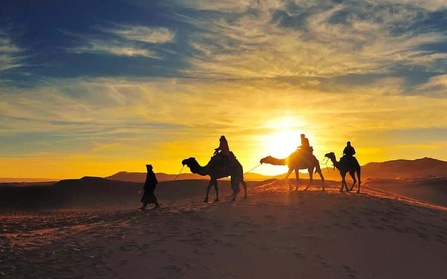 From Fes: 2-Day Luxury Desert Tour to Marrakech & Back Fez - Midelt lunch and the road to the Ziz Valley