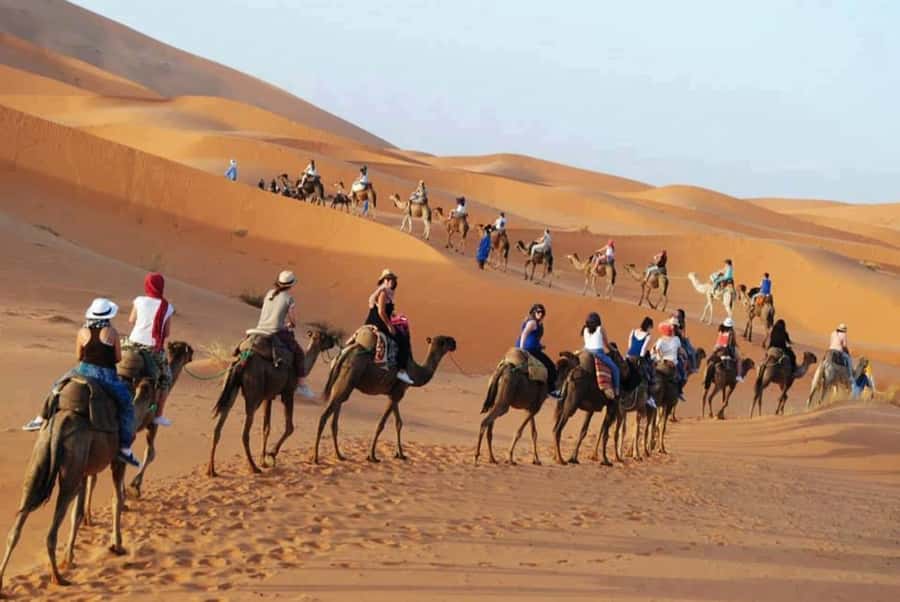 From Fes: 2-Day Luxury Desert Tour to Marrakech & Back Fez - Sunrise, breakfast, and the long return