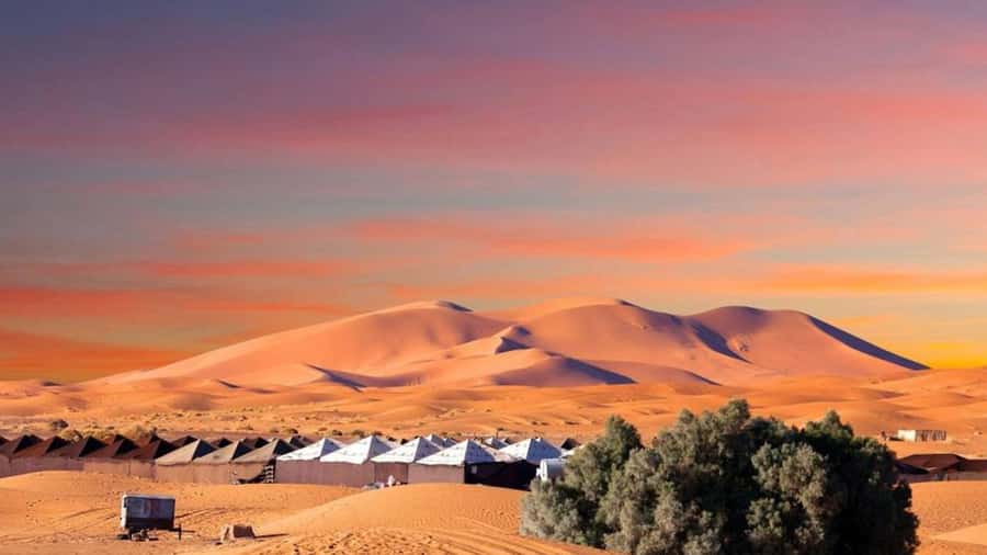 From Fes: 2-Day Merzouga Desert Trip w/Luxury Tent & Dinner - Seven hours from Fes to the Sahara