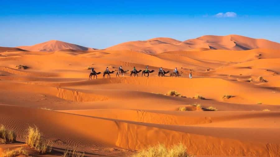 From Fes: 2-Day Merzouga Desert Trip w/Luxury Tent & Dinner - A luxury tent, dinner, and Berber music