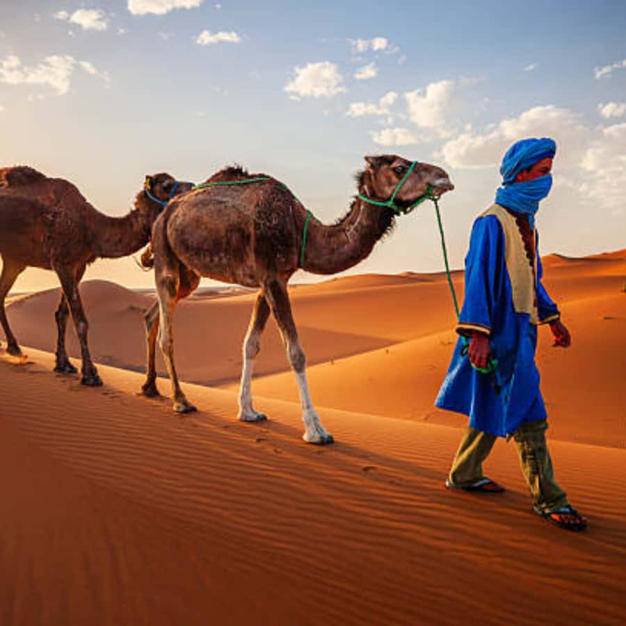 From Fes: 2 Day Round Trip Via Merzouga Desert & Camel Trek - Key points to know before booking