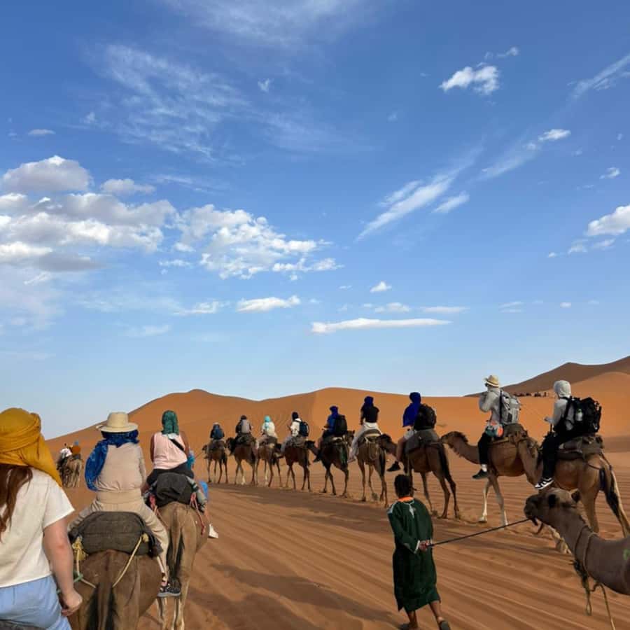 From Fes: 2 Day Round Trip Via Merzouga Desert & Camel Trek - Barbary monkeys in the cedar forest